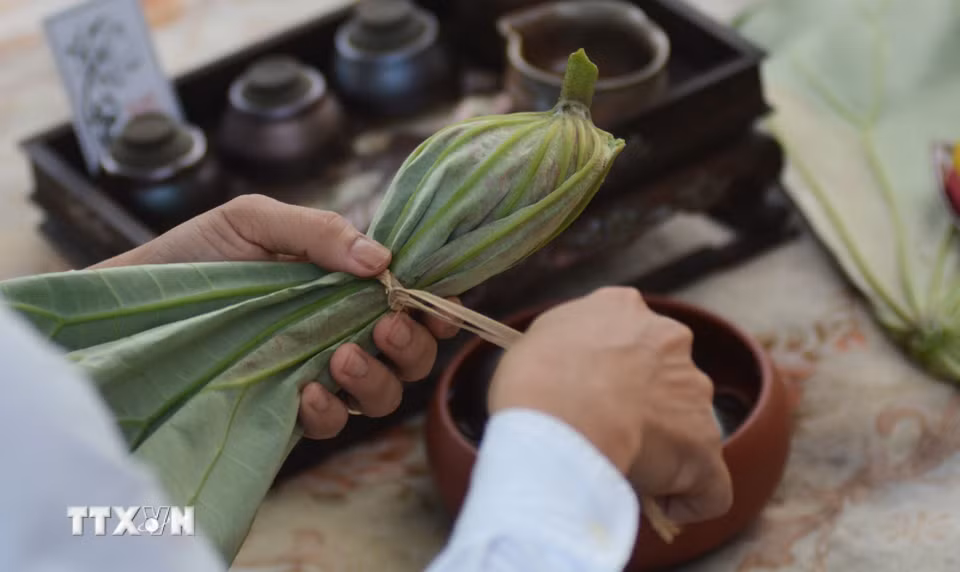 Trà sen ủ trong hoa sen được gói trong lá sen và bảo quản trong tủ lạnh để bảo quản được lâu. (Ảnh: Văn Dũng/TTXVN)