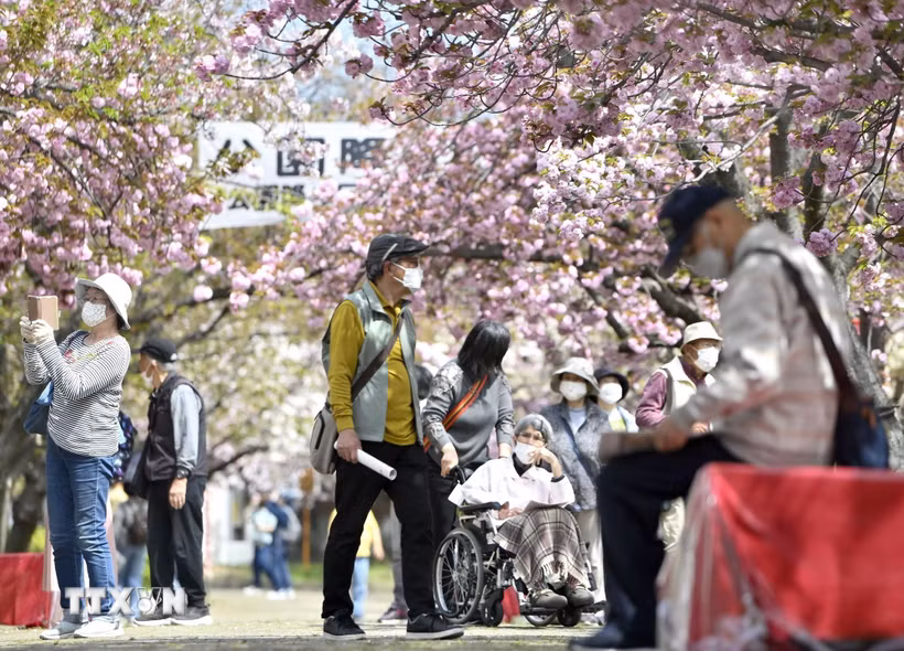 Người cao tuổi tại Osaka, Nhật Bản. (Ảnh: Kyodo/TTXVN)