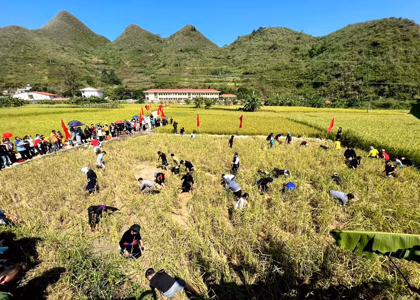 Du khách được tham gia trải nghiệm hoạt động bắt cá tại lễ hội. (Nguồn: Cổng thông tin điện tử tỉnh Tuyên Quang)
