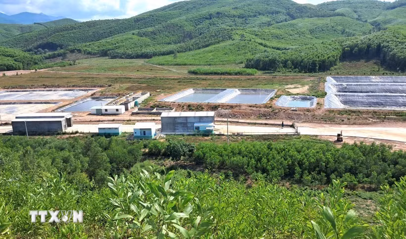 Trang trại chăn nuôi heo Minh Phúc dù nằm ở xa khu dân cư nhưng mùi hôi vẫn ảnh hưởng đến nhà người dân. (Ảnh: Tường Quân/TTXVN)