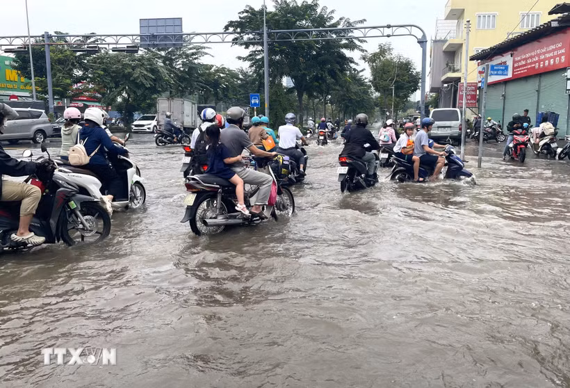 Nhiều phương tiện di chuyển khó khăn do triều cường trên đường Nguyễn Lương Bằng, thành phố Hồ Chí Minh, ngày 6/11/2025. (Ảnh: Hương Giang/TTXVN)