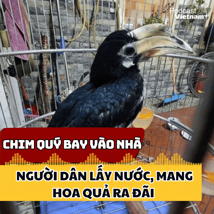 Tin nóng 18/2: Chim quý bay vào nhà, người dân lấy nước, mang hoa quả ra đãi