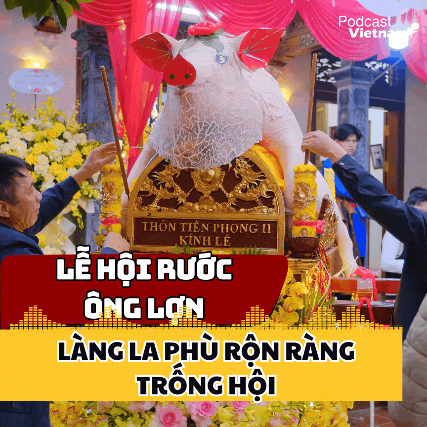 Độc đáo Ông lợn “khổng lồ” được ăn gạo, ngủ màn ở làng La Phù 