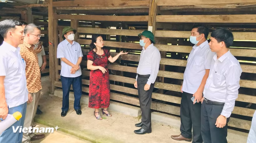 Bà Chu Thị Hồng Hà, Ủy viên Ban Chấp hành Hội Nông dân tỉnh Hà Tĩnh đã đứng ra thành lập và liên kết với 15 tổ hợp tác chăn nuôi hươu, trực tiếp chuyển giao kỹ thuật an toàn sinh học cho gần 100 hộ dân. (Ảnh: PV/Vietnam+)