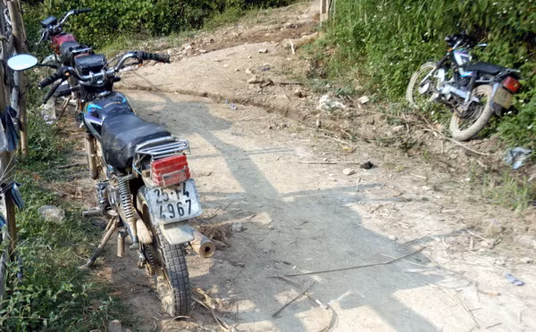 Rừng gỗ pơmu Hoàng Liên-Văn Bàn đang bị "xẻ thịt" ảnh 2