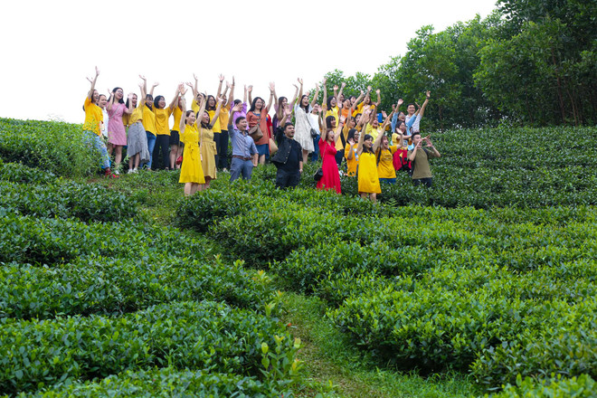 Đẩy mạnh xây dựng, phát triển thương hiệu chè Thịnh An ảnh 4