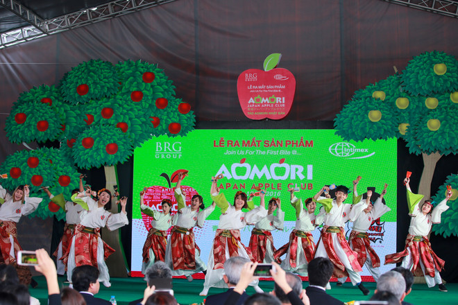 Cận cảnh loại táo Aomori nổi tiếng của Nhật Bản tại Hà Nội ảnh 2