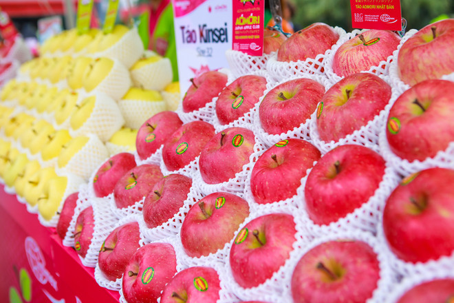 Cận cảnh loại táo Aomori nổi tiếng của Nhật Bản tại Hà Nội ảnh 1