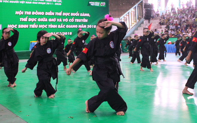 Bắc Giang tăng cường phong trào thể dục cho học sinh tiểu học ảnh 4