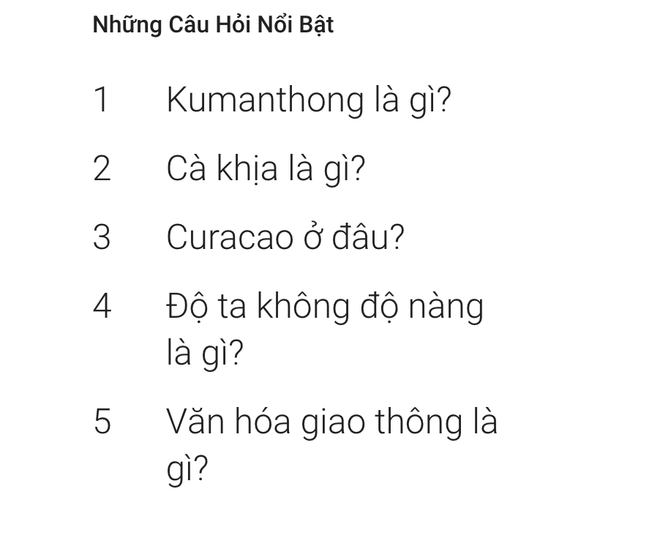 Thế giới tìm kiếm gì trên trang dịch vụ Google trong năm 2019? ảnh 2