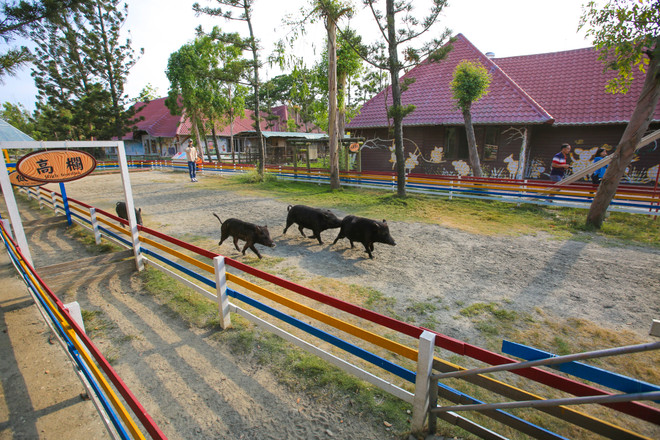 Đài Loan: Khám phá thế giới động vật kỳ thú ở Wanpi World Safari Zoo ảnh 9