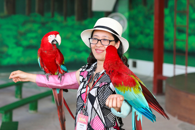 Đài Loan: Khám phá thế giới động vật kỳ thú ở Wanpi World Safari Zoo ảnh 8