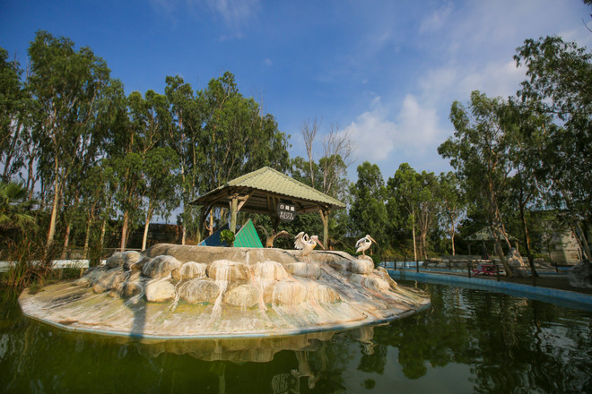 Đài Loan: Khám phá thế giới động vật kỳ thú ở Wanpi World Safari Zoo ảnh 1