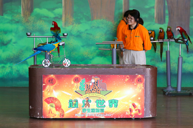 Đài Loan: Khám phá thế giới động vật kỳ thú ở Wanpi World Safari Zoo ảnh 7