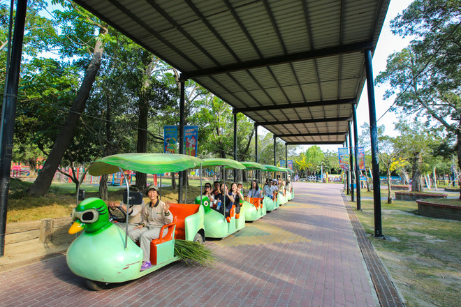 Đài Loan: Khám phá thế giới động vật kỳ thú ở Wanpi World Safari Zoo ảnh 3