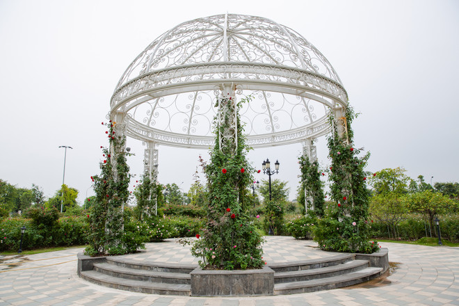 Có gì bên trong trường đại học đẳng cấp 5 sao đầu tiên tại Việt Nam? ảnh 4