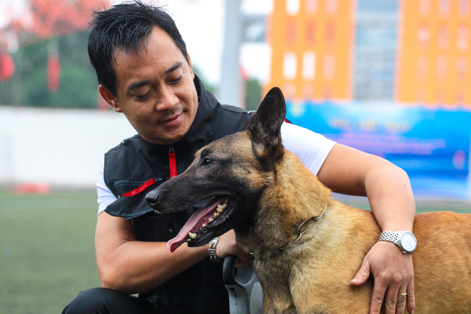 Thót tim với những màn 'thao diễn' của chó Béc Bỉ ngàn đô ảnh 18