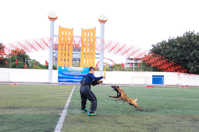 Thót tim với những màn 'thao diễn' của chó Béc Bỉ ngàn đô ảnh 22