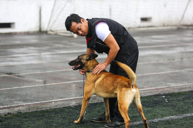 Thót tim với những màn 'thao diễn' của chó Béc Bỉ ngàn đô ảnh 17