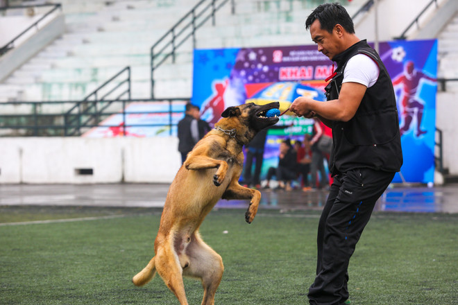 Thót tim với những màn 'thao diễn' của chó Béc Bỉ ngàn đô ảnh 15