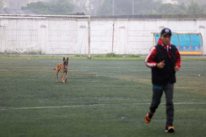 Thót tim với những màn 'thao diễn' của chó Béc Bỉ ngàn đô ảnh 20