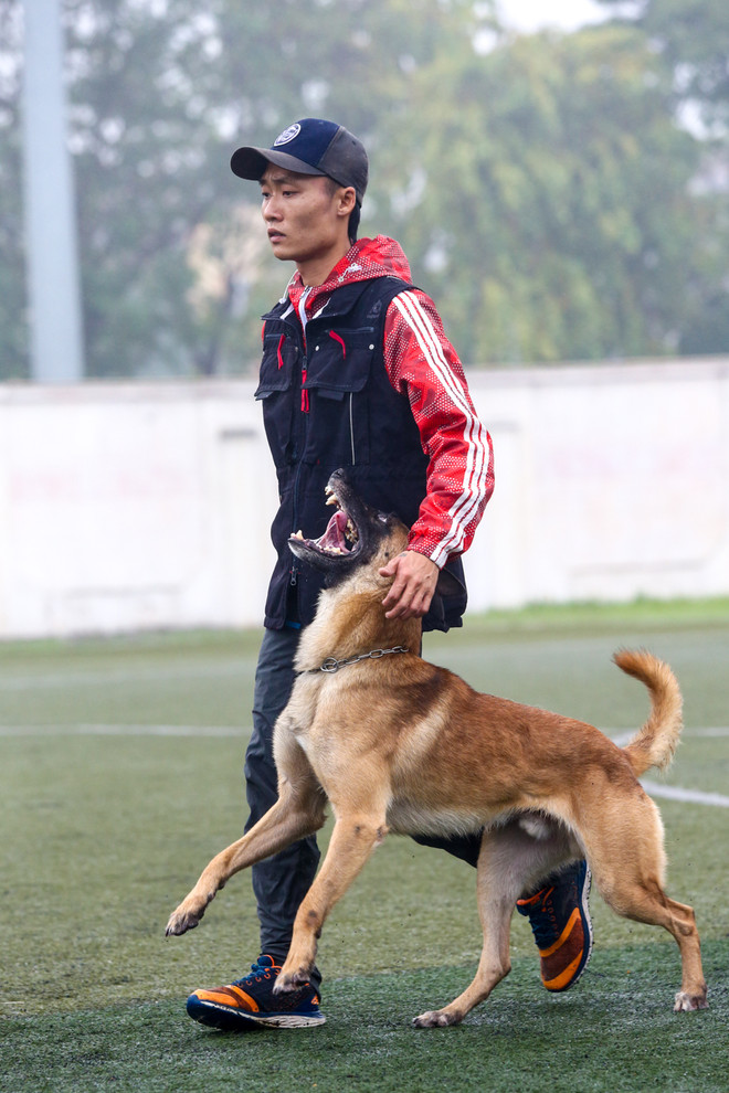 Thót tim với những màn 'thao diễn' của chó Béc Bỉ ngàn đô ảnh 19