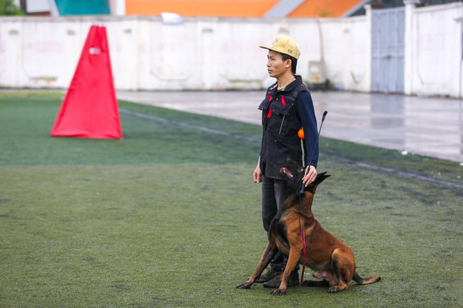 Thót tim với những màn 'thao diễn' của chó Béc Bỉ ngàn đô ảnh 6