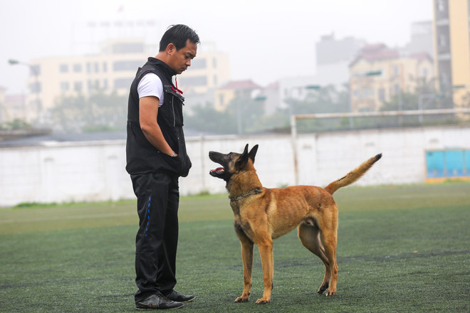 Thót tim với những màn 'thao diễn' của chó Béc Bỉ ngàn đô ảnh 11