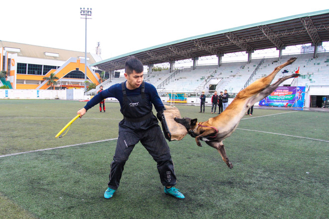 Thót tim với những màn 'thao diễn' của chó Béc Bỉ ngàn đô ảnh 23