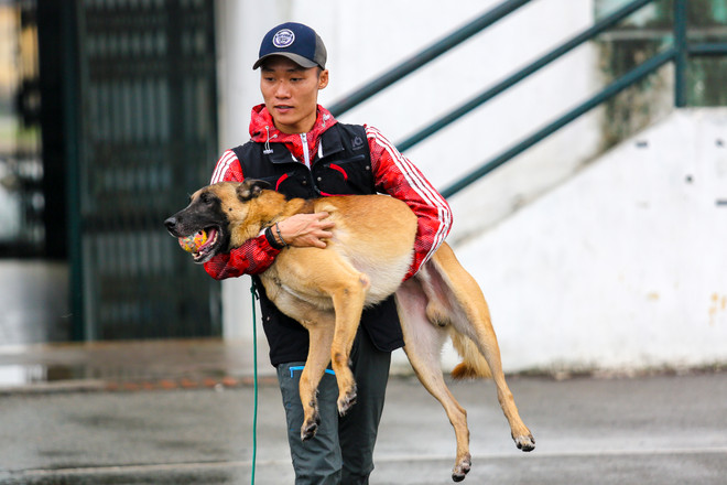 Thót tim với những màn 'thao diễn' của chó Béc Bỉ ngàn đô ảnh 3