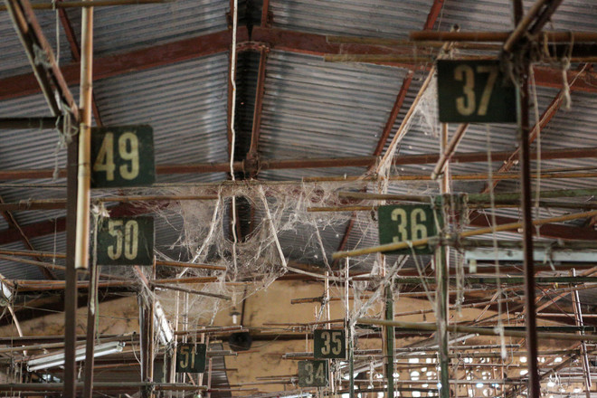 Hà Nội: Chợ Ngã Tư Sở ế ẩm, tiểu thương "sống dở chết dở" ảnh 9