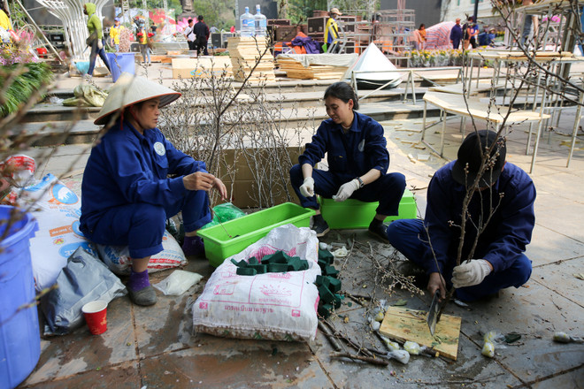 Lễ hội hoa anh đào sẵn sàng mở cửa đón du khách Thủ đô ảnh 6