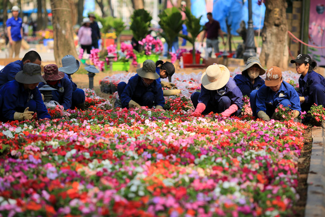 Lễ hội hoa anh đào sẵn sàng mở cửa đón du khách Thủ đô ảnh 12