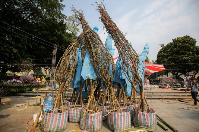 Lễ hội hoa anh đào sẵn sàng mở cửa đón du khách Thủ đô ảnh 2