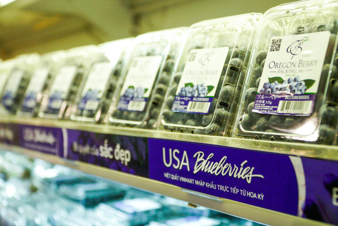 VinMart là nhà bán lẻ Việt đầu tiên được nhập khẩu việt quất từ Mỹ ảnh 3