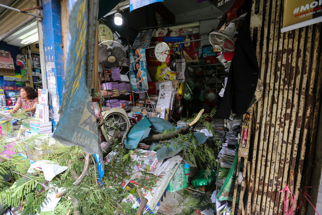 Hà Nội: Cây xanh bất ngờ gãy đổ giữa đường, nhiều người thoát chết ảnh 4