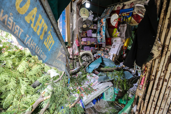 Hà Nội: Cây xanh bất ngờ gãy đổ giữa đường, nhiều người thoát chết ảnh 3