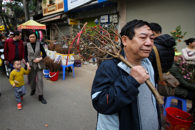 Chợ hoa Hàng Lược nhộn nhịp trong những ngày giáp Tết ảnh 8