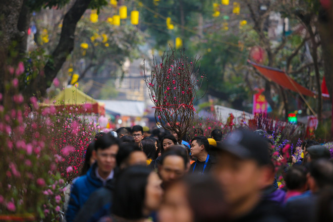 Chợ hoa Hàng Lược nhộn nhịp trong những ngày giáp Tết ảnh 4