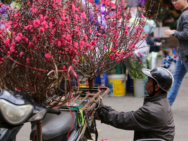 Chợ hoa Hàng Lược nhộn nhịp trong những ngày giáp Tết ảnh 11