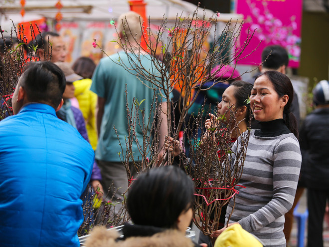 Chợ hoa Hàng Lược nhộn nhịp trong những ngày giáp Tết ảnh 5