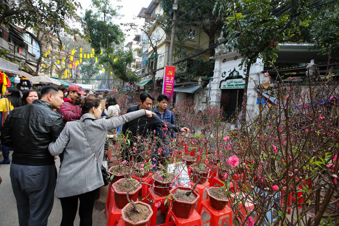 Chợ hoa Hàng Lược nhộn nhịp trong những ngày giáp Tết ảnh 2