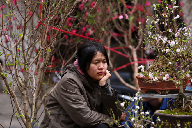 Chợ hoa Hàng Lược nhộn nhịp trong những ngày giáp Tết ảnh 13