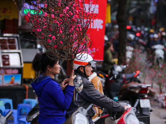 Chợ hoa Hàng Lược nhộn nhịp trong những ngày giáp Tết ảnh 15