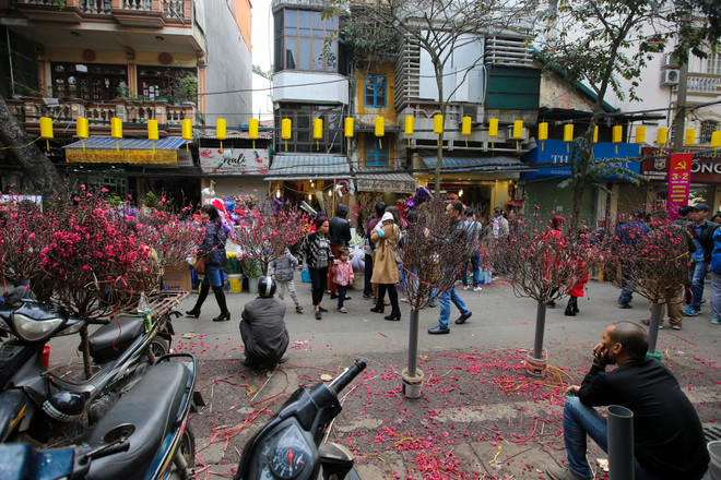 Chợ hoa Hàng Lược nhộn nhịp trong những ngày giáp Tết ảnh 6