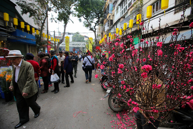 Chợ hoa Hàng Lược nhộn nhịp trong những ngày giáp Tết ảnh 14