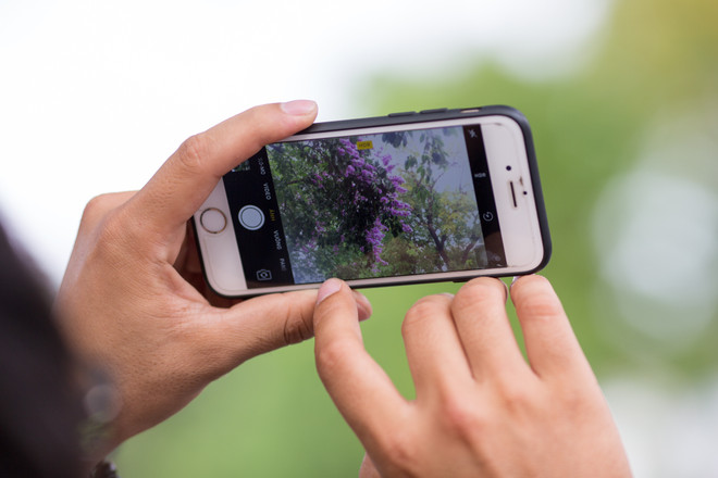 Hoa bằng lăng mộng mơ "nhuộm tím" khắp phố phường Hà Nội ảnh 12