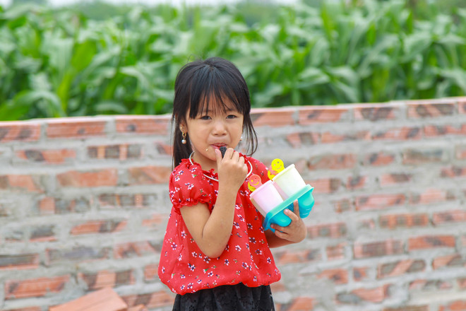 Hà Nội: Nông dân tất bật thu hoạch dâu tằm thu tiền triệu một ngày ảnh 18