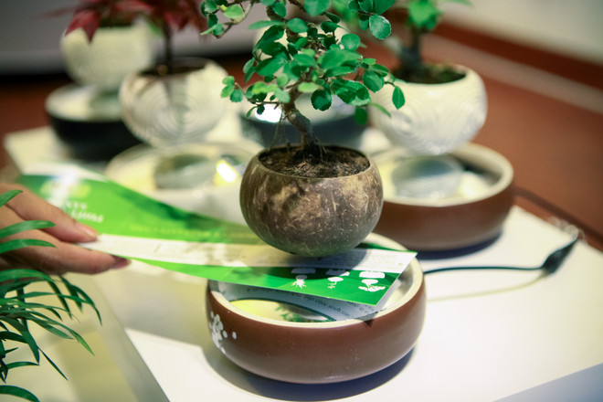 Tết Đinh Dậu 2017: Cây bonsai bay lơ lửng "độc," lạ hút khách Thủ đô ảnh 7