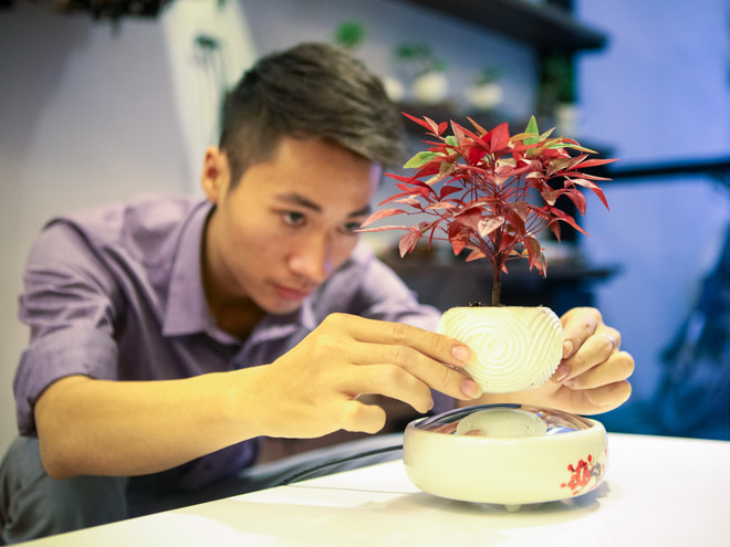 Tết Đinh Dậu 2017: Cây bonsai bay lơ lửng "độc," lạ hút khách Thủ đô ảnh 4